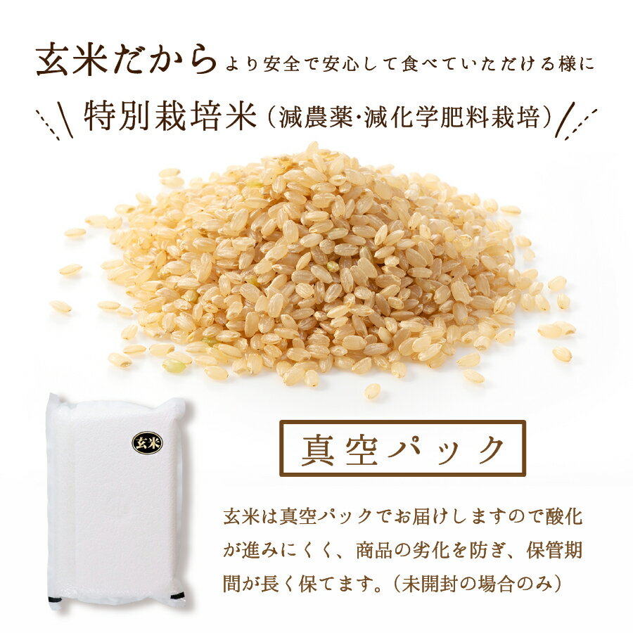 【令和3年産米】【玄米】送料無料 特別栽培米福岡県産元気つくし 5kg（2.5kg×2袋）