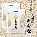 【9月4日20時〜30日24時までポイント20倍】送料無料 九州産 もち麦900g チャック付き ポスト投函