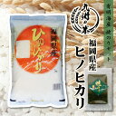 送料無料 有明海苔セット 福岡県産ヒノヒカリ 5kg