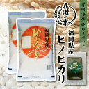 【令和5年産】送料無料 有明海苔セット 福岡県産ヒノヒカリ 10kg 5kg 2袋 