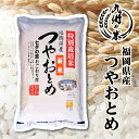 【令和5年産】送料無料 減農薬 特別栽培米 つやおとめ5kg