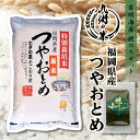 【令和5年産】送料無料 有明海苔セット 福岡県産つやおとめ 5kg