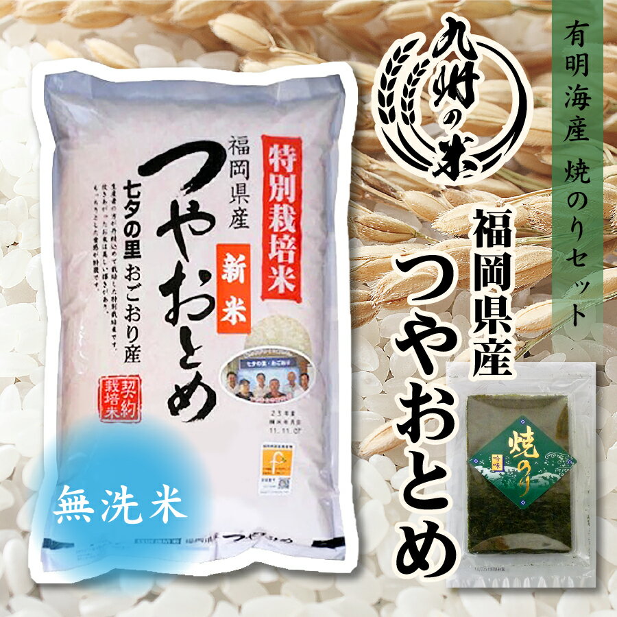 【令和3年産米】送料無料 有明海苔セット 無洗米 福岡県産つやおとめ 5kg