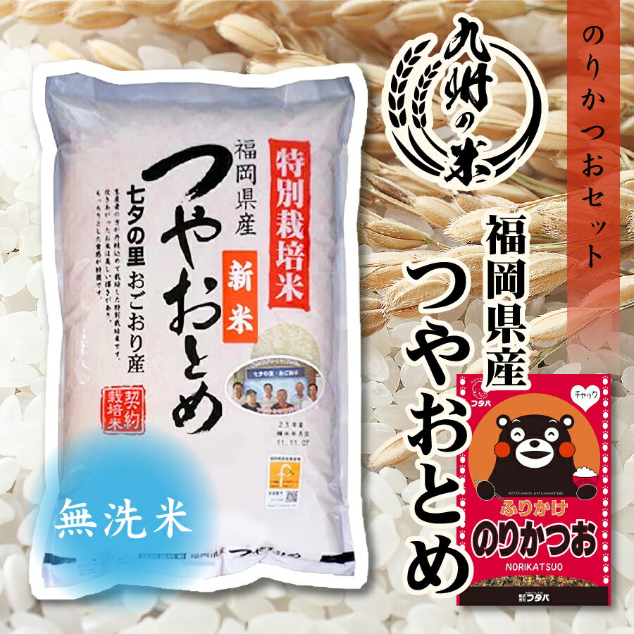 【大感謝祭ポイント5倍】【令和5年産新米】送料無料 無洗米 ふりかけセット 福岡県産つやおとめ 5kgのサムネイル