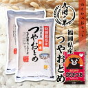 送料無料 ふりかけセット 福岡県産つやおとめ 10kg（5kg×2袋）