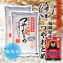 【お買い物マラソン当店ポイント2倍】【令和5年産】送料無料 無洗米 ふりかけセット特別栽培米 福岡県産つやおとめ 10kg（5kg×2袋）