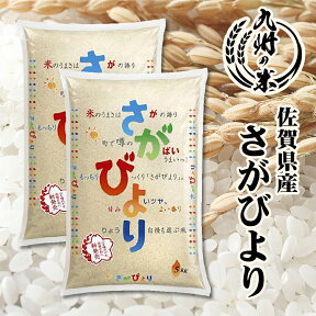 【お買い物マラソン当店ポイント2倍】【令和5年産】送料無料 数量限定一等米 1等米 【14年連続特A受賞】佐賀県産さがびより10kg（5kg×2袋）