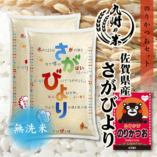 【令和5年産】送料無料 無洗米 ふりかけセット 1等米 【14年連続特A受賞】佐賀県産さがびより 10kg（5kg×2袋）