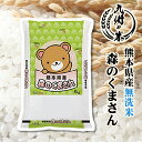 【令和5年産】送料無料 無洗米 熊本県産 森のくまさん 5kg 1