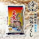 【お買い物マラソン当店ポイント2倍】【令和5年産】送料無料 無洗米 【4年連続特A受賞】福岡県産元気つくし 5kg