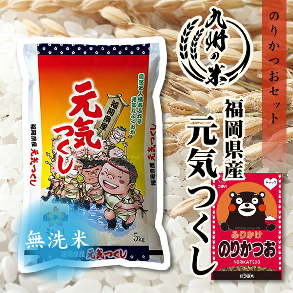 【令和5年産】送料無料 無洗米 産 ふりかけセット 【4年連続特A受賞】福岡県産元気つくし 5kg