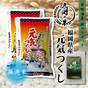 【令和5年産】送料無料 有明海苔セット 無洗米 【4年連続特A受賞】福岡県産元気つくし 10kg（5kg×2袋）