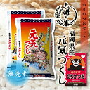 【令和5年産】送料無料 無洗米 ふりかけセット 【4年連続特A受賞】福岡県産元気つくし 10kg（5kg×2袋）