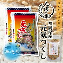 【お買いものパンダ】【令和3年産米】送料無料 無洗米 福岡県産元気つくし10kg（5kg×2袋） ＋米ぬかふりかけ 35g