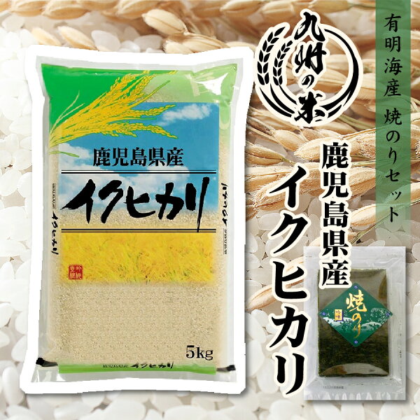 【令和5年産】送料無料 有明海苔セット 鹿児島県産イクヒカリ 5kg