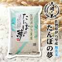 送料無料 無洗米 佐賀県伊万里産たんぼの夢 5kg