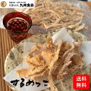 するめっ娘 100g 国産 北海道 おつまみ 珍味 ダイエット 【送料無料】