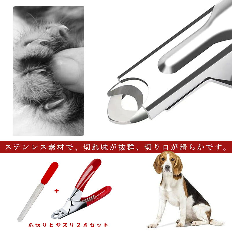 �ڥå������ڤ� �䥹�� �ڥå��� ���ڤ� �������󥿥��� �� ǭ ���ƥ�쥹 �ڤ� �ڤ�̣ ����䤹�� �ڤ�䤹�� ��ñ �䤹���դ� ���ƥ�쥹 jd-bt005