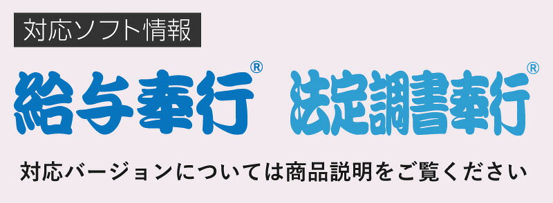 5169 源泉徴収簿［横型］ 単票 OBC 奉行サプライ 給与奉行 法定調書奉行 500枚入 単票用紙 レーザープリンタ対応【サンプル提供可】