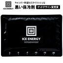 【即納 在庫あり】【ネコポス発送】保冷剤 キャンプ アウトドア バーベキュー ICE ENERGY アイスエナジー アルミソフトケース 500g 温度帯 -10℃ 長持ち 長時間 おしゃれ おすすめ【キャンセル返品交換不可】