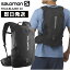 SALOMON サロモン TRAILBLAZER 20 トレイルブレザー 20 トレイルランニング トレラン リュック LC1048400【沖縄配送不可】 8,910円