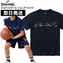 SPALDING スポルディング バスケ Tシャツ ジュニア ミニバス ティーシャツ バスケットボール 子供 子ども こども ボールプリント ロゴ SJT231...