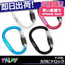 5,400円以上で送料無料 PALMY カラビナロック P-...