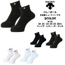 【条件付き送料込み】 2足組ショートソックス DESCENTE デサント DVB9136S2 | ワンポイント キッズ 子供 女の子 ジュニア レディース メンズ ショートソックス 中学生 プレゼント バレーボール バレー 靴下 ソックス ※北海道・沖縄送料別