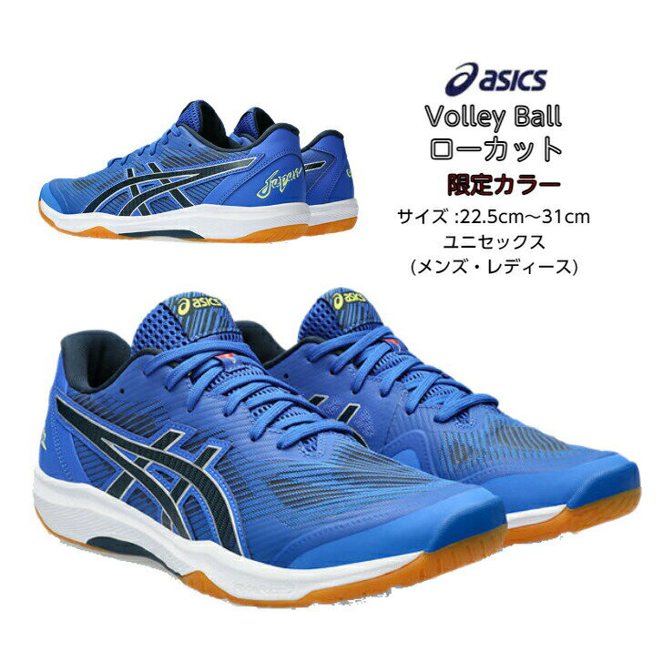 【あす楽対応】バレーシューズ ローカット ROTE JAPAN LYTE FF 3 asics アシックス 限定カラー 1053A054 400【送料無料】 ローテジャパンライト 軽量 メンズ レディース 男女兼用 バレーボールシューズ 軽い ローテジャパン バレーボール ローテ ジャパン 高校生 春高 バレー