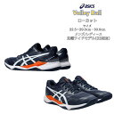 バレーボールシューズ ローカット asics アシックス GEL-TACTIC 12 WIDE 1073A059 402 【送料無料】 ワイド 足幅ワイド ワイ...