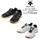 バレーボールシューズ DESCENTE デサント STELLA DIVA LO 6 DV1XJB01 ...