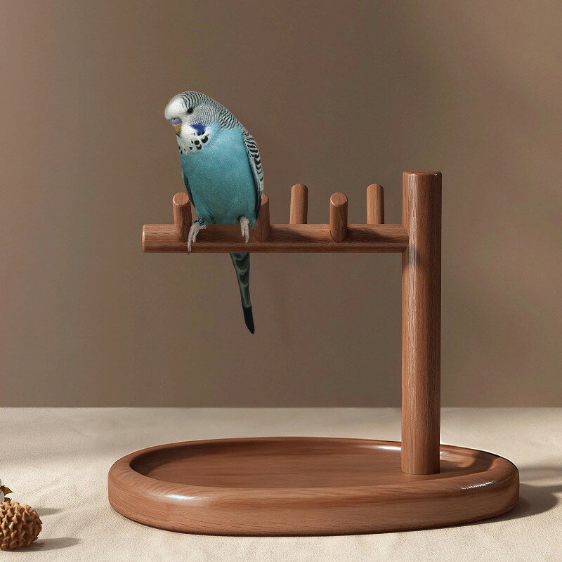 【鳥のおしっこトレーニング/排便しつけ】鳥かご 止まり木 スタンド 取り外し可能...