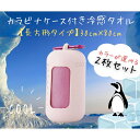 クールタオル ロング2枚セット 選べるカラー シリコンケース付き カラビナ付き 暑さ対策 冷感グッズ 速乾 軽量 快適 熱中症 日焼け 対策 夏 冷たい ひんやり 涼しい タオル 持ち運び 携帯 冷感 フェイスタオル 冷たい クール 夏 登山 キャンプ バーベキュー 送料無料
