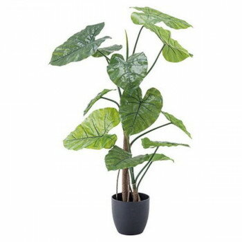 東谷 フェイクグリーン クワズイモ グリーン GRN-16