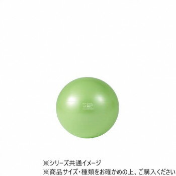 ダンノ(DANNO) ギムニクカラーボールPLUS　75(ライムグリーン)　D5423LMG