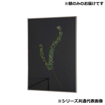 アルナ 額縁 シンプル ALUMIUM RIM マットシルバー 200角 16700