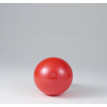 ダンノ(DANNO) ギムニクカラーボールPLUS　55(レッド)　D5421R