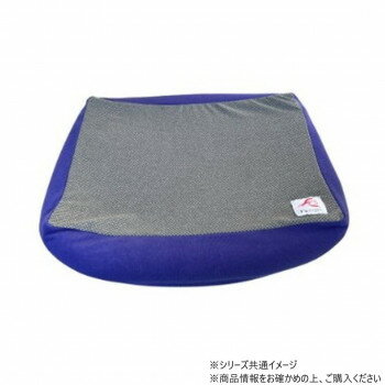 遠赤技研 ペット用 テラペットベッドカバー角型 ブルー Mサイズ