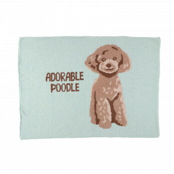 フレンズヒル フェザーニットブランケット アドラブルプードル ミント YW-187-830