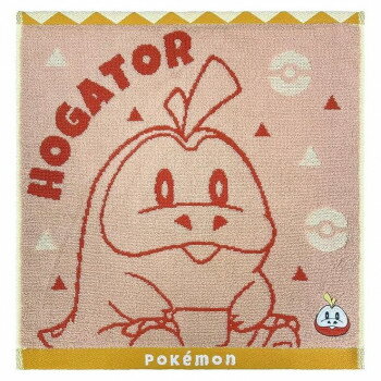 林(HAYASHI) ウォッシュタオル ポケモン WO207800