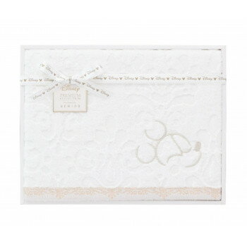 ディズニー　プレミアム バスタオル WB40876 2092-093