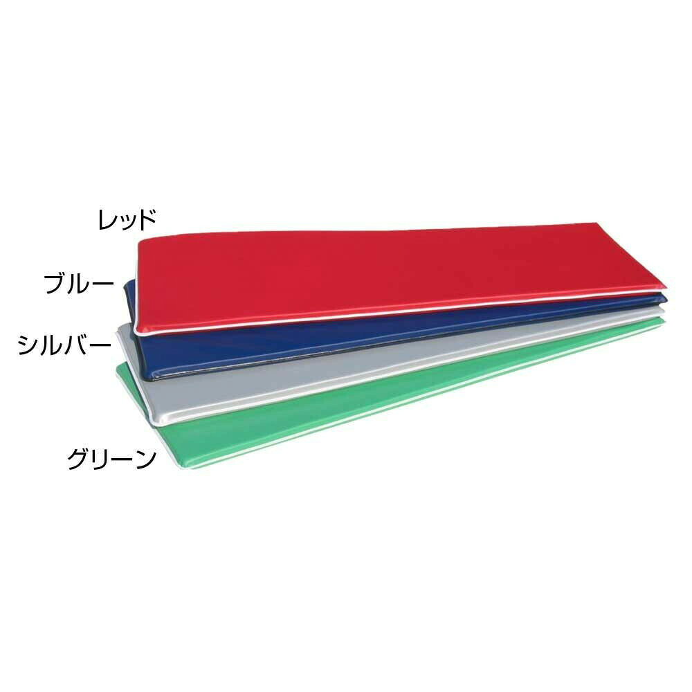 エアロビクスマット(ソフトタイプ) 60×180×4cm F-42