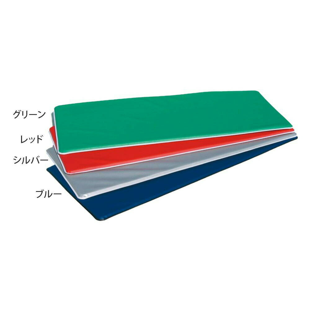 エアロビクスマット(ハードタイプ) 60×150×2cm F-57