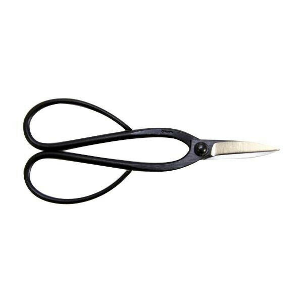 ����­Ĺ�ߺ�����2075