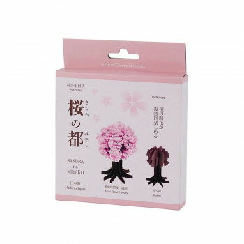 桜の都 39-385