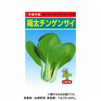 暑さに強く尻張りが特に良い早産種草姿は立性で、株揃い良く、葉は厚みのある楕円型で大きく、葉色は、やや濃くツヤがあります。葉柄は緑が濃く、肉厚の中脚で幅が広くなります。尻張りが特によく、葉数もやや多いので、収穫調整による型くずれがなく荷姿が美しいです。発芽時より生育旺盛、且つ強健で作りやすいです。高温期の栽培で問題となる節間伸長が少ないので良品が収穫できます。※種子は播種後の栽培条件、天候事情により、その結果が異なる場合がございます。万が一、結果不良でも保証はできかねます。【栽培のポイント】・標準量は10アール当たり苦土石灰100kg、窒素・リン酸・カリ三要素は成分量で、それぞれ20kg程度で良いです。夏期の栽培は、生育期間が短いので。3〜4割程度減肥してください。・普通は幅120〜150cmの畝に高温期は15×15cm、低温期は12cm×12cmの栽植距離で、2〜3粒ずつ点播し、本葉2〜3枚までに一本間引きます。移植栽培の場合は100cm〜200cmの畝に7〜8cmで条蒔きにするか、バラ蒔きして、子葉展開後に密生している所を1cm間隔となるように間引きます。・地床育苗、プラグポット育苗ともに、乾燥や過湿に注意します。特に、プラグポット育苗の場合は潅水が難しいです。高温期には、1日2〜3回必要ですが、夕方は水分を控えめにして徒長を防いでください。・栽植密度は15×15cm前後とし、高温期は、むれや節間伸長を防ぐために、18×18cm前後と、やや広げると良いです。・露地では、白寒冷紗などのトンネル・ハウスでは遮光ネットなどを利用し、虫害・温度上昇を防いでください。サイズ個装サイズ：20×20×15cm重量個装重量：200g生産国イタリアfk094igrjs