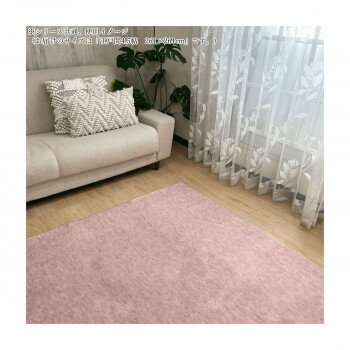 ペットの爪がひっかかりにくい　抗菌防臭　平織りカーペット RO(ローズ) 江戸間4.5帖　261×261