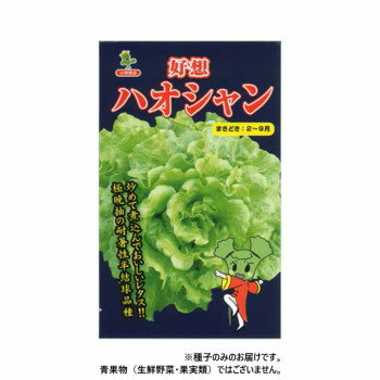 ���Ӽ��� �쥿����� �ϥ������ (����)��5424��������L5000γ