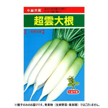 長めの青首総太り型でウィルス病に強い!葉はやや小さめの濃緑色で、葉の欠刻が浅い大根です。萎黄病には圃場抵抗性があり、ウィルス病にもかなりの抵抗性を持っています。耐暑性にも優れており平坦暖地での8月中旬蒔きも可能。平坦地の8月下旬蒔きでは播種後60日で根長40cm、根重1〜1.2kgに生育します。曲がりが少なく、揃いや尻部肉付きの良い総太り型の好評種です。肉質も緻密でス入りが非常に遅いので、通常栽培での心配はいりません。※種子は播種後の栽培条件、天候事情により、その結果が異なる場合がございます。万が一、結果不良でも保証はできかねます。※一部地域(郡部・山間部等)は時間帯指定不可となります。サイズ個装サイズ：20×20×15cm重量個装重量：200g生産国イタリアfk094igrjs
