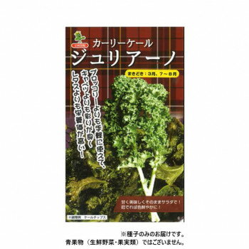 サラダだけではもったいない、炊いて煮込んで炒めて食べて!ブロッコリーよりも手軽に使えて、キャベツよりも彩りが良く、レタスよりも栄養価が高い。葉を刻めばパセリの代わりもOK。小さくカールしたちりめん状の細長い葉が特徴です。見た目より柔らかく、苦みや青臭さはほとんどない。サラダ・スムージー・青汁から煮込みや天ぷらなど万能に使える。強健で害虫も少なく大変育てやすい。※種子は播種後の栽培条件、天候事情により、その結果が異なる場合がございます。万が一、結果不良でも保証はできかねます。【栽培のポイント】(1)施肥・有機質を多用して土づくりを心掛け品質の良い葉を長期にわたって収穫する。・元肥は反にNPKが成分量でそれぞれ20kg程度。定植後は半月ごとにN3kg程度の追肥を3〜4回行う。(2)定植・130〜140cm幅の畝に株間36〜40cmで2条植え。・適湿を保ちスムーズに生育させること。(3)収穫株を十分に大きくして勢いをつけてから収穫する。サイズ個装サイズ：30×20×20cm重量個装重量：1000g仕様内容量:2000粒生産国イタリアfk094igrjs